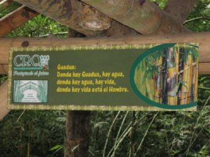 IMG_1247.JPG