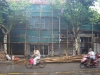 cursobambuchina3-1.jpg