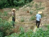 cursobambuchina5-12.jpg