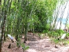 IMG_1190.JPG