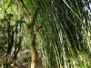 cursomanejomaio09-2.jpg