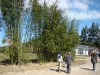 cursotratamentofazendaufsc-7.jpg